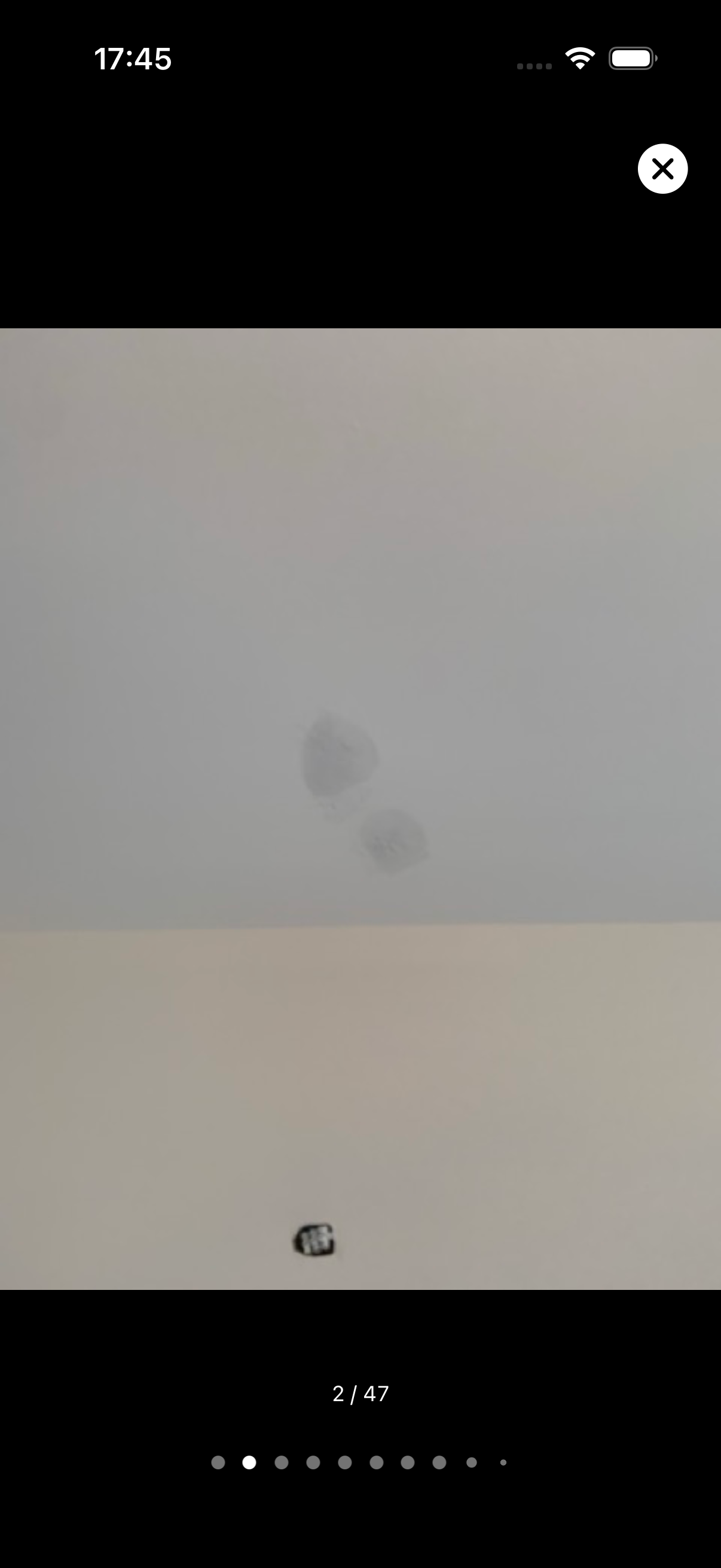 Foto Vollansicht